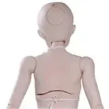 GUAVADOLL 160cm Cカップボディ単体  PVC製 球体関節 ボディのみラブドール