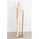 GUAVADOLL 160cm Cカップボディ単体  PVC製 球体関節 ボディのみラブドール