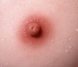 Yearndoll 高級版 Y401ヘッド 165cm Fカップ ダッチワイフ 幼さを残した可愛いフェイス リアル皮膚メイク付き シリコン製 等身大ドール