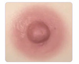 【清純派】162cm Cカップ B1川崎由美ヘッド フルシリコン材質 ラブドール 等身大リアルドール リアルボディ 伴趣（はんしゅ）