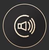 Irontech Doll（orientalシリーズ）S32ヘッド（桜姫メイク） 161cm Fカップ ROS-MAX機能付き 優しい美人系ラブドール