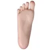 Realgirl【C工場】 CY50ヘッド 168cm Eカップ 韓国風美肌メイクの等身大リアルドール フルシリコン製ダッチワイフ