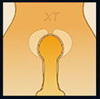 XTdoll Oliviaヘッド 165cm Eカップ 新作 絶世の美人 フルシリコンドール 超乳ラブドール