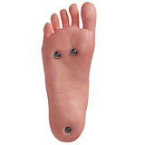 Real lady R1ヘッド 170cm Cカップ リアル ドール 欧米風モデル系美人 超リアルな肌の質感 高級シリコンダッチワイフ