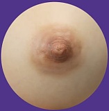 MMXDOLL 梦涵(menghan)ヘッド 90cm巨乳 8.9kg 黒髪ロングの清純系ミニドール  シリコン製ラブドール