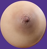 MMXDOLL 梦涵(menghan)ヘッド 90cm巨乳 8.9kg 黒髪ロングの清純系ミニドール  シリコン製ラブドール