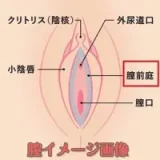 RZR Doll  No.23 楚儿（chuer）ヘッド 160cm Dカップ ラブドール 清楚で可愛い癒し系ドール フルシリコン製 膣前庭構造&乳腺構造あり