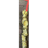 YFDOLL ももちゃんヘッド 161cm Eカップ リアル ドール 軽量26kg 清楚な佇まい エロ ROS機能対応可 フルシリコン製人形