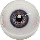 Fanreal doll carleeヘッド 111cm Fカップ  トルソーリアルドール セクシーモデル風 ドール リアル皮膚付き！ ROS開閉機能対応可 欧美系 ダッチワイフ