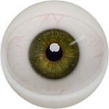 Fanreal doll carleeヘッド 111cm Fカップ  トルソーリアルドール セクシーモデル風 ドール リアル皮膚付き！ ROS開閉機能対応可 欧美系 ダッチワイフ