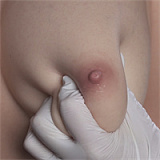 【12.4まで新作キャンペーン 10%OFF】Irontech Doll（orientalシリーズ）A5ヘッド（桜姫メイク） T158cm Eカップ 日本人顔ダッチワイフ メイド姿ドール エロ ROS-Max機能付き