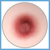 【TPEボディー！】蛍火日記  琉璃（Liuli）ヘッド 158cm Eカップ メイク③ お口の開閉機能選択可！ シリコンヘッド＋TPEボディー  リアルラブドール 塗装加工あり