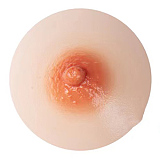 Realgirl【C工場】 Ds36ヘッド 159cm Cカップボディ 宣材写真通りのはリアル皮膚付きフルシリコン製ラブドール