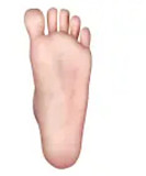 XTdoll Belle(XT-46)ヘッド 163cm I-カップ Ultraボディ欧米風リアルドール 豊満な成熟美人 まぶたの開閉機能対応可 フルシリコンドール