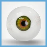 TOP-CYDOLL 新ボディー！Zariaヘッド 170cm Dカップ 黒肌ダッチワイフ 宣材写真のはフルシリコン製のリアルドール