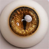 YFDOLL 小危ヘッド 156cm Iカップ 大人っぽい美人顔のラブドール リアル皮膚付き人形 ROS機能対応可 等身大 フルシリコン製