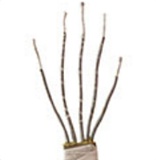 MD DOLL M21ヘッド 150cm Eカップ 清楚系巨乳ラブドール 新素材選択可能のリアルドール