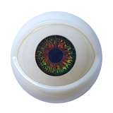 MD DOLL M37ヘッド 166(B)cm Fカップ セクシーなダッチワイフ 甘える猫系お姉さん ROS機能対応可 宣伝画像フルシリコン