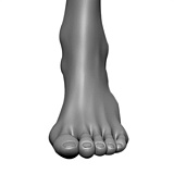 MD DOLL M37ヘッド 166(B)cm Fカップ セクシーなダッチワイフ 甘える猫系お姉さん ROS機能対応可 宣伝画像フルシリコン