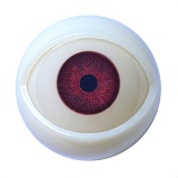 MD DOLL M37ヘッド 166(B)cm Fカップ セクシーなダッチワイフ 甘える猫系お姉さん ROS機能対応可 宣伝画像フルシリコン