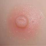 wmdoll アニメかわいいダッチワイフ 140cm Bカップ#Y001ヘッド 漫画ドール ソフトビニール製ヘッド+TPE製ボディ 等身大リアルラブドール