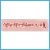 蛍火日記 Maxシリーズ メアリー⑥メイクヘッド 165cm Cカップ ミステリアス系リアルラブドール 宣材写真のは口開閉機能付き リアル皮膚付きダッチワイフ