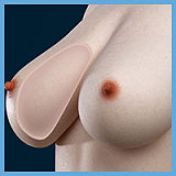 蛍火日記 Maxシリーズ メアリー⑥メイクヘッド 165cm Cカップ ミステリアス系リアルラブドール 宣材写真のは口開閉機能付き リアル皮膚付きダッチワイフ