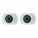 XYdoll SM065ヘッド 164cm Fカップボディ セクシー系等身大ラブドール リアル皮膚付き 欧米風フルシリコン製ダッチワイフ