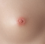 【Yearndoll 12.31迄キャンペーン 15%OFF！お尻の柔らか仕上げ+自立加工+陰毛植毛+掲載画像と同じ衣装+洗浄機全部無料】Yearndoll 高級版 美悠 LZ01ヘッド 155cm Iカップ 小悪魔系フィギュア リアル皮膚メイク付きアダルトドール シリコン製 アニメドール