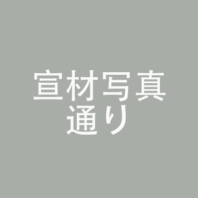SHEdoll 75cmトルソーアダルトドール Gカップ セクシー半身モデル ヘッド追加可
