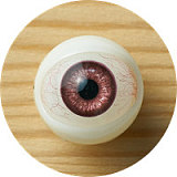 Myloliwaifu #64B 七海ヘッド 150cm Aカップ ダッチワイフ 清楚で可憐な少女 ROS機能付き 職人メイク選択可能 可愛い系フルシリコンダッチドール