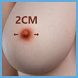 蛍火日記 西风(xifeng) 151cm 貧 乳 Aカップ 顔が赤らんだ可愛いリアル ドール フルシリコン製 宣材写真は硬めシリコンヘッド（口開閉機能なし）