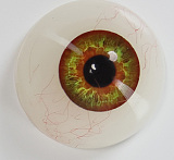 【新作キャンペーン 12/31迄 先着30名様に限定！！10％オフ+ 新作梦涵（Menghan）・梦欣（Mengxin）ヘッド+ 任意ボディのセット購入で、2 つ目のヘッドが無料！】 MMXDOLL カスタマイズ専門ページ ダッチワイフ メイク選択可 フルシリコン製ドール