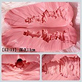 RZR Doll  No.23 楚儿（chuer）ヘッド 160cm Dカップ ダッチドール 上品で清純なお嬢様系ドール フルシリコン製 膣前庭構造&乳腺構造あり