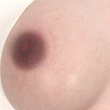 【Evasdoll 2周年記念イベント 2026年1月6日まで 二つ目ヘッド無料！162/167/168/172/176/180cm限定 】Evasdoll ラブドール セクシー系 ヘッド＆ボディ自由に組み合わせ専門ページ 等身大フルシリコン製ダッチワイフ