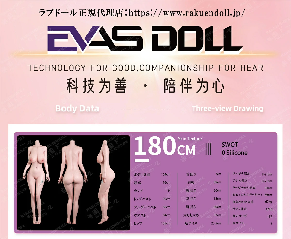 リアルドール evasdoll ボディの三面図&スペック一覧1