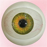 Art doll A28梦娜ヘッド 163cm Eカップ 瞑り目の癒し系ラブドール 宣材写真のは新肌色 超リアルな肌テクスチャ フルシリコン製高級ダッチワイフ