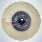 RZR Doll  No.23 楚儿（chuer）ヘッド 160cm Dカップ ラブドール 清楚系女の子 フルシリコン製 膣前庭構造&乳腺構造あり