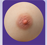 MMXDOLL（木木夕） ボディ単体専門ページ｜シリコン製リアルドール 軽量＆超リアルメイク付き ボディのみ ダッチワイフ