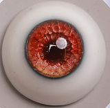 MMXDOLL 周囲を癒す美少女 シームレスドール 梦悦（Mengyue）ヘッド 153cm Cカップ 超擬真肌テクスチャー フルシリコン製リアルアダルトドール