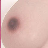 Evasdoll 伊蒂丝Edithヘッド 162cm Hカップ 肥満系の爆乳ラブドール セクシー系 等身大フルシリコン製リアルドール