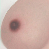 Evasdoll Yiyiヘッド 149cm Dカップ ラブドール フルシリコン製 可憐で癒し系の美少女フェイス 清楚 セクシー