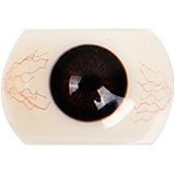 Doll Senior #28夢ヘッド 165cm Fカップ 添い寝 ダッチワイフ リアル皮膚付き軽量化ボディ 宣材写真通りのはフリー関節 シリコン製ドール