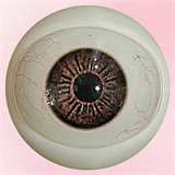 Artdoll 媚態を見せる美人 A9ヘッド 165cm Fカップ フルシリコン製 セックス人形 M16接続 巨乳ラブドール