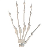 MD DOLL M47ヘッド 150cm Eカップ 銀髪ツインテールの清純系美少女ダッチワイフ 新素材選択可能のリアルドール