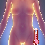 MD DOLL M47ヘッド 150cm Eカップ 銀髪ツインテールの清純系美少女ダッチワイフ 新素材選択可能のリアルドール