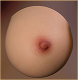 AJLDOLL ボディ単体専門ページ シリコン製ラブドール 軽量＆超擬真の肌テクスチャ付き ボディのみ ダッチワイフ