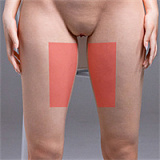 Real lady S40ヘッド 150cm Eカップ バニー姿 リアル ドール 超リアルな肌の質感 清楚系 宣材写真はフルシリコン