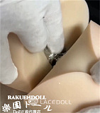 LACE DOLL 赤木ヘッド ②メイク 160cm Cカップ 清楚で癒し系のラブドール エロ 大人の美少女フェイス 宣材写真のはシリコンボディ