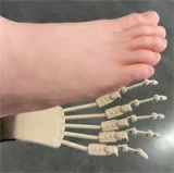 伴趣（はんしゅ） B1川崎由美 ビキニを着てる軽量リアルドール 162cm Cカップ 27kgのフルシリコン製ラブドール